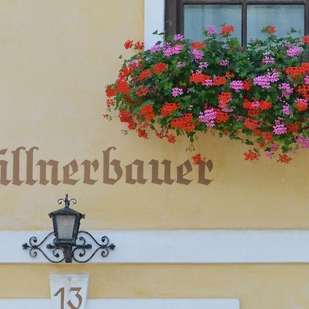 Muellnerbauer Apartment Napplach Luaran gambar