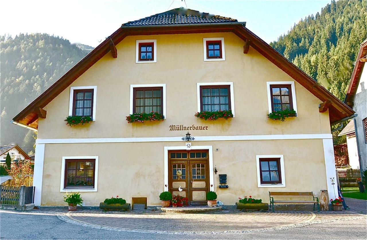 Muellnerbauer Apartment Napplach Luaran gambar