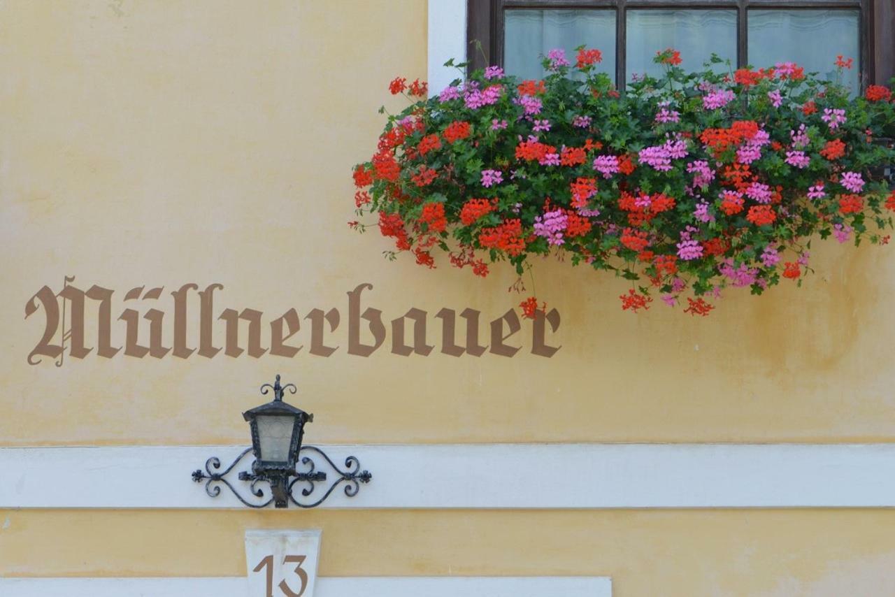 Muellnerbauer Apartment Napplach Luaran gambar